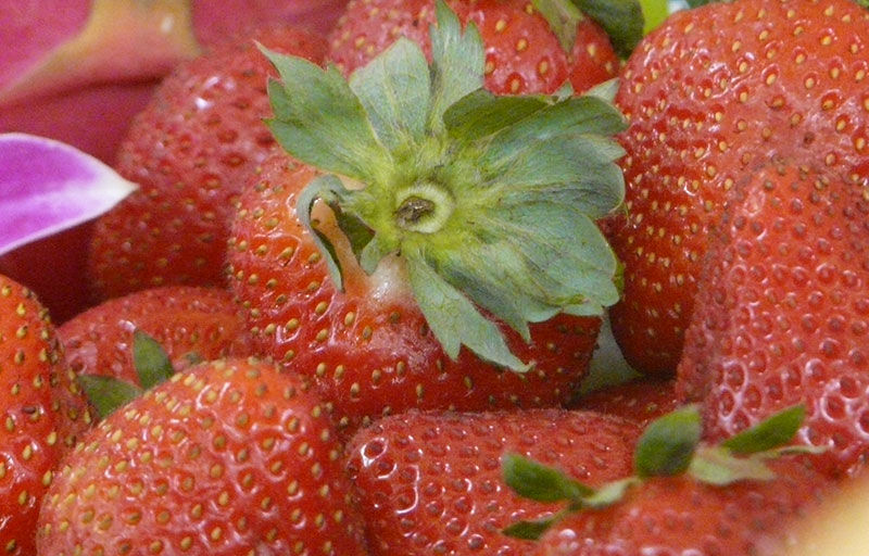 Strawberry diet