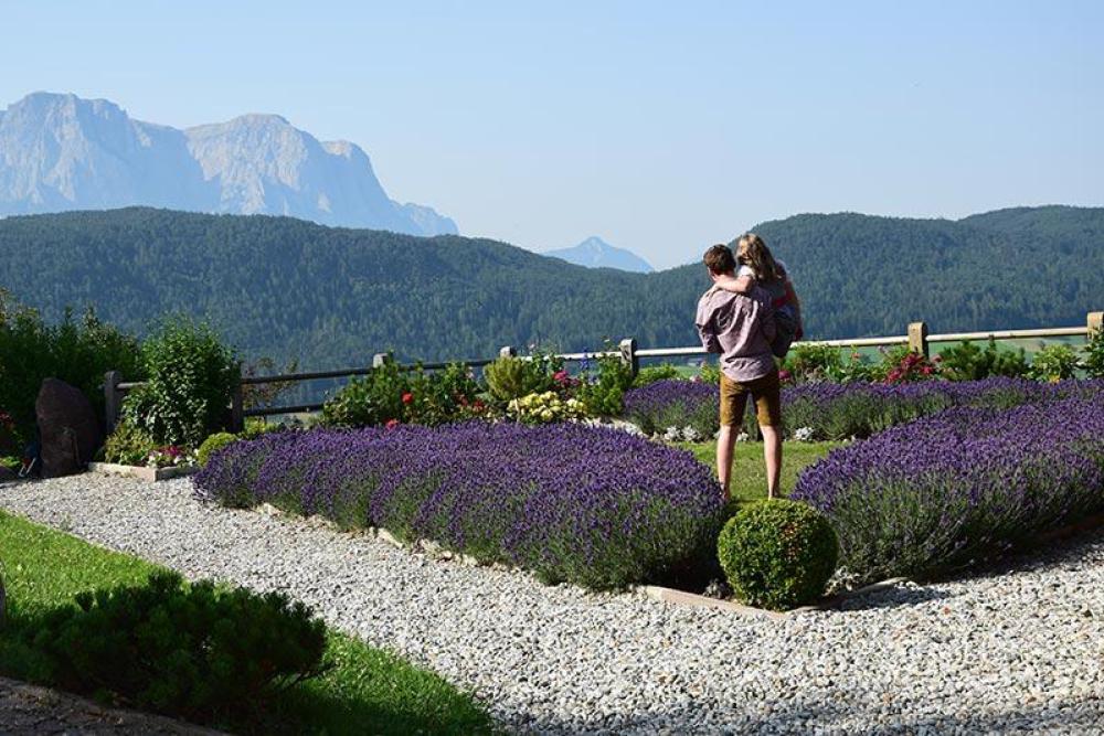 Herrlicher Lavendelduft bei traumhafter Aussicht