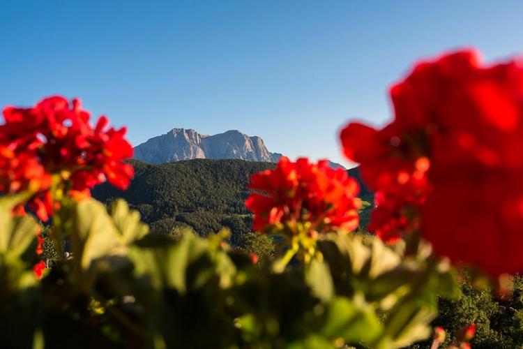 Balkonblick vom Balkon