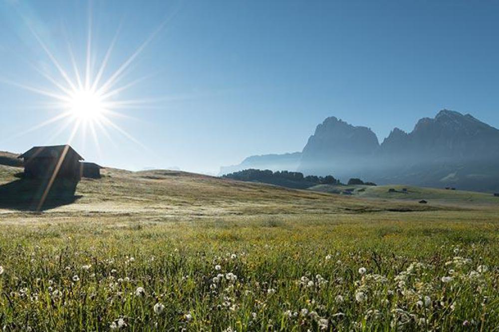 Seiseralm, Langkofel in den Südtiroler Dolomiten