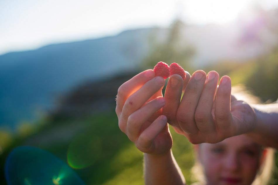 Attività del maso: la frutticoltura