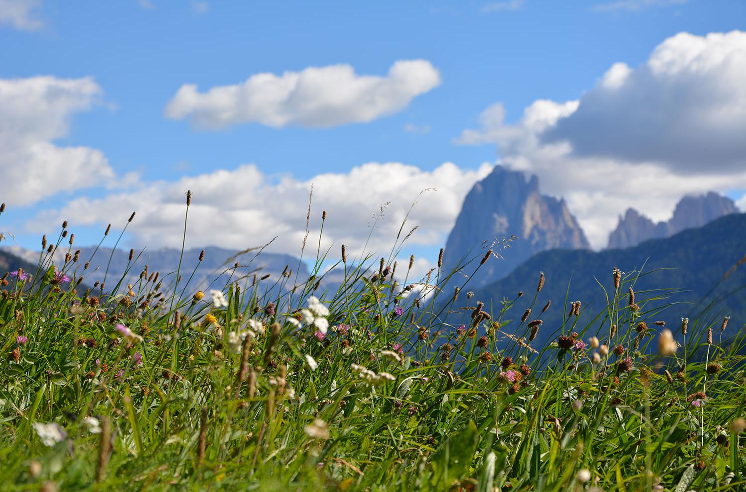 Vista incantevole sulle splendide Dolomiti