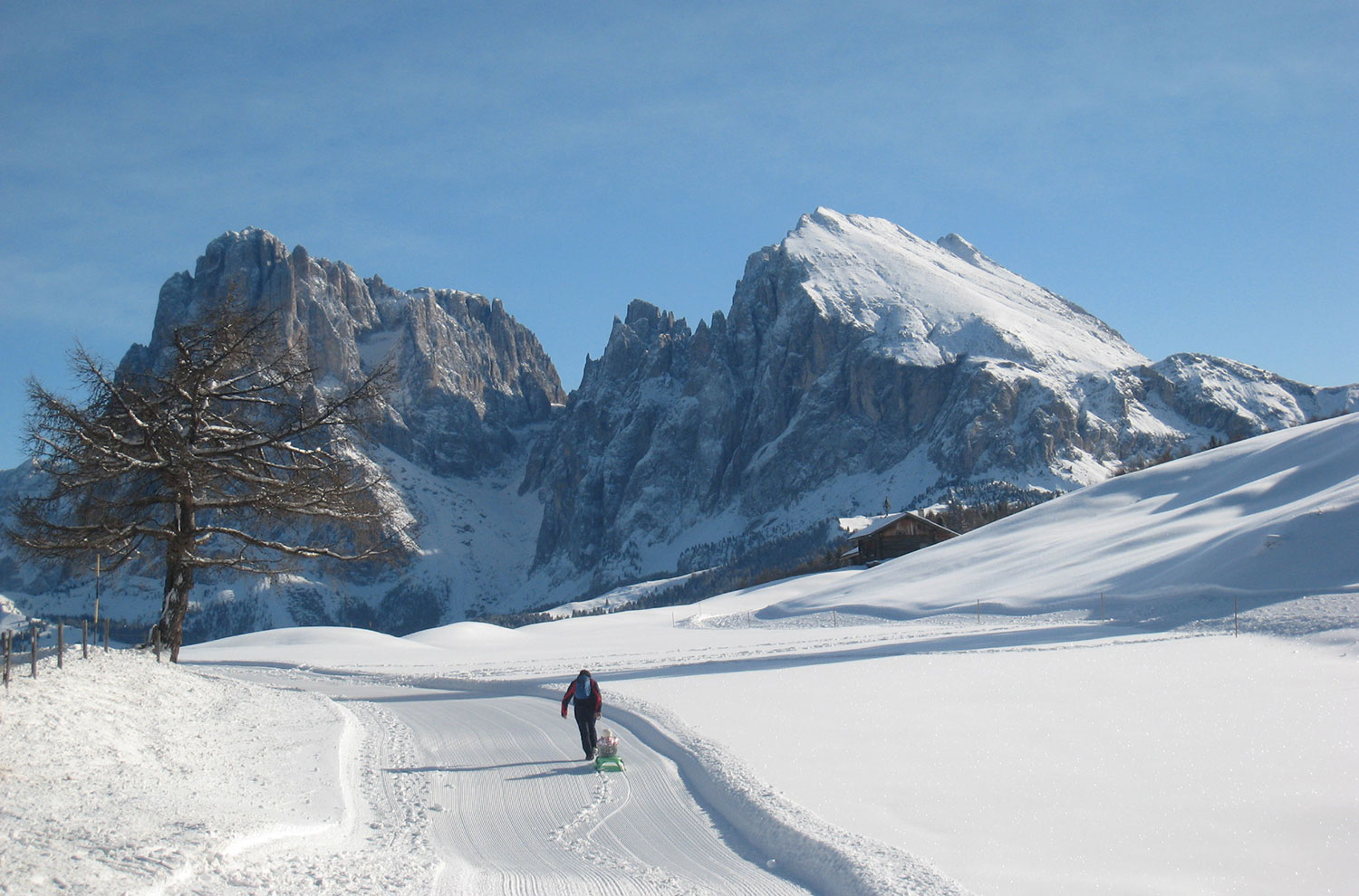 Sledding at the Seiser Alm