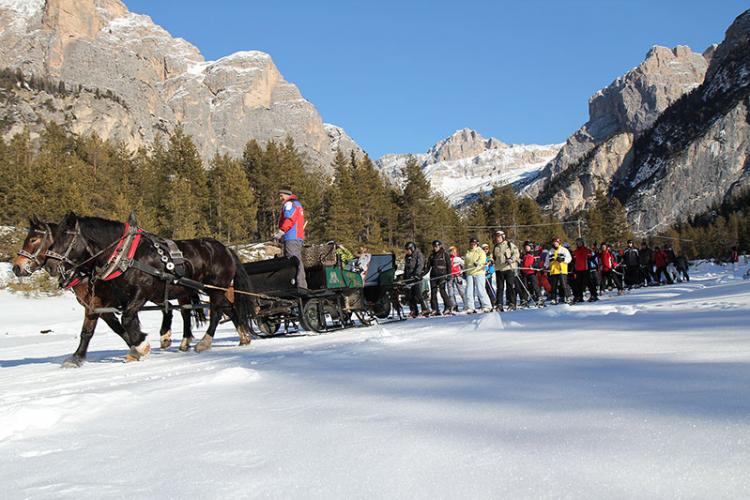 Horse-drawn carriage ride over the Alpe di Siusi